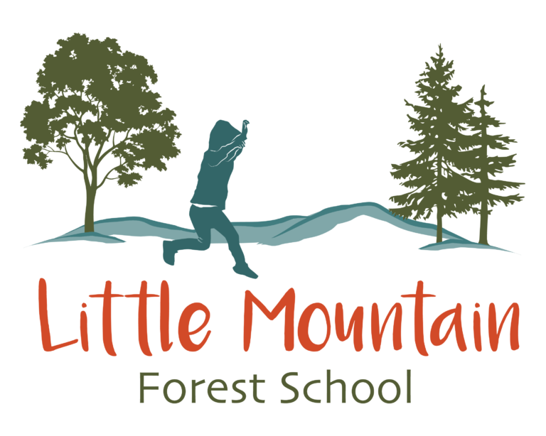 LMFS LogoFinal 01 768x614