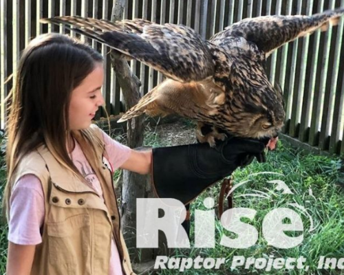 Rise Raptor Inc