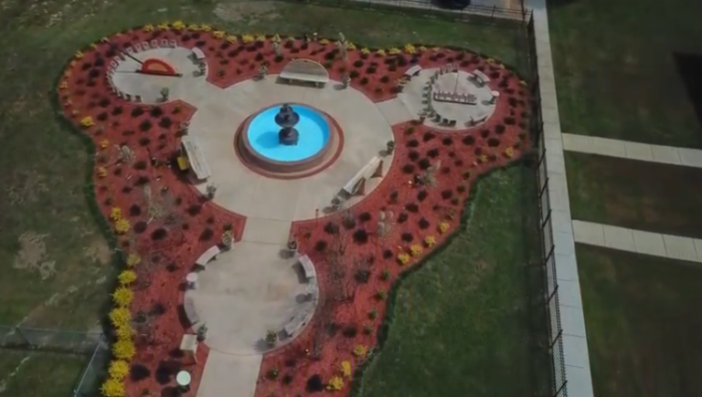 Timeless Seasons in the Sun 768x435